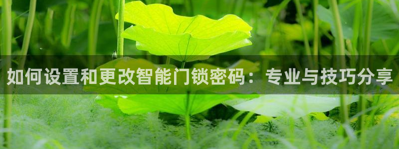 富联娱乐开户费用多少钱：如何设置和更改智能门锁密码：专业与技