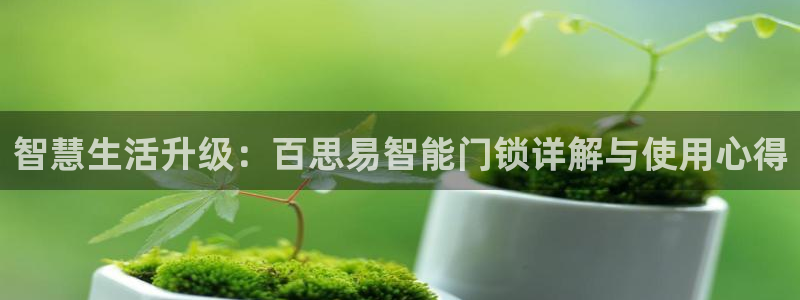 富联娱乐代理是谁做的啊：智慧生活升级：百思易智能门锁详解与使