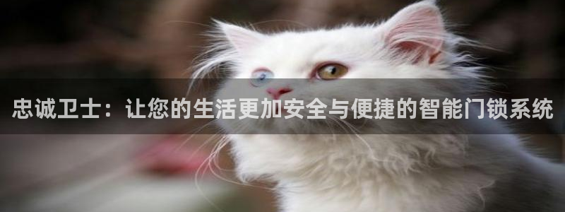 富联娱乐开户费用查询表：忠诚卫士：让您的生活更加安全与便捷的