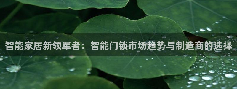 富联娱乐千67五壹叁八：智能家居新领军者：智能门锁市场趋势与