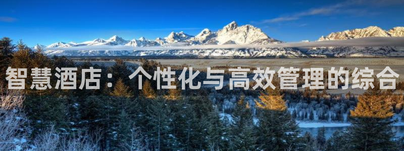 富联娱乐乙67OO6：智慧酒店：个性化与高效管理的综合
