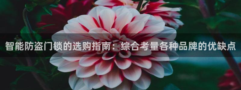 富联2娱乐首页官网：智能防盗门锁的选购指南：综合考量各种品牌