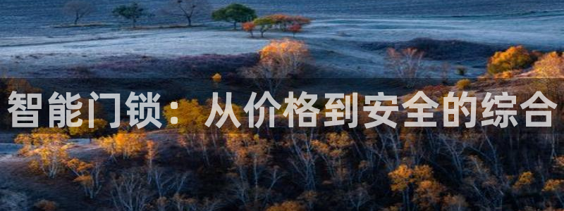 富联娱乐主管是谁啊：智能门锁：从价格到安全的综合