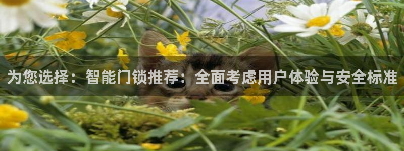 富联娱乐下载官网：为您选择：智能门锁推荐：全面考虑用户体验与