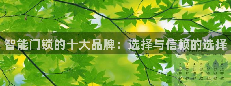 富联娱乐官网登录入口：智能门锁的十大品牌：选择与信赖的选择
