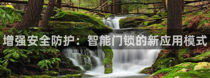 富联娱乐去问主管39977l6：增强安全防护：智能门锁的新应