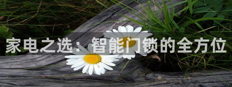 富联娱乐注册登录不上去：家电之选：智能门锁的全方位