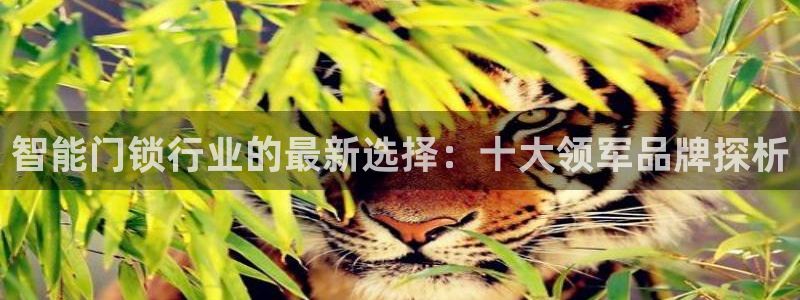 富联娱乐在线观看：智能门锁行业的最新选择：十大领军品牌探析