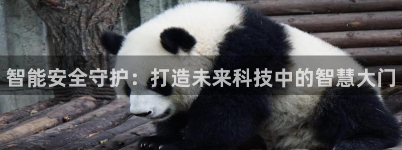 富联娱乐主管下判官333OO：智能安全守护：打造未来科技中的