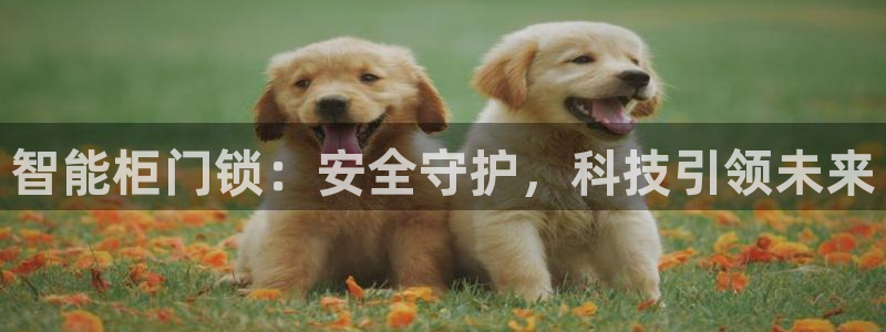 富联娱乐2853179Z空间：智能柜门锁：安全守护，科技引领