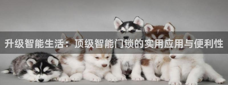 富联2娱乐贴吧官网下载：升级智能生活：顶级智能门锁的实用应用