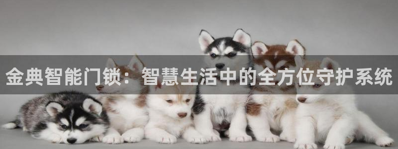 富联2娱乐注册地址查询：金典智能门锁：智慧生活中的全方位守护
