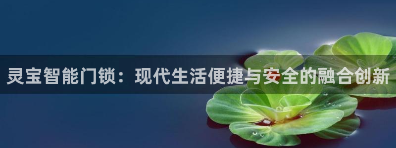 联富娱乐有限公司：灵宝智能门锁：现代生活便捷与安全的融合创新