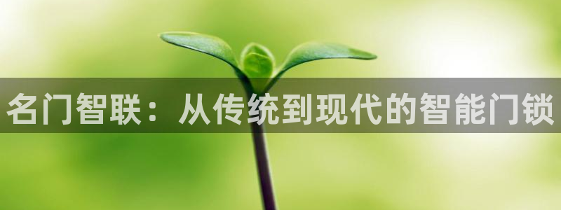 富联娱乐官网首页网址：名门智联：从传统到现代的智能门锁