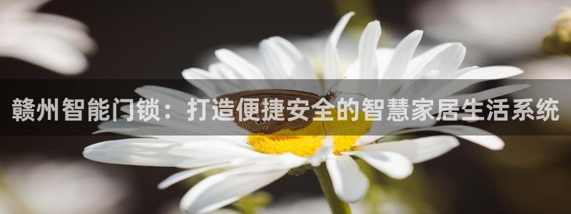富联娱乐首页官网入口：赣州智能门锁：打造便捷安全的智慧家居生