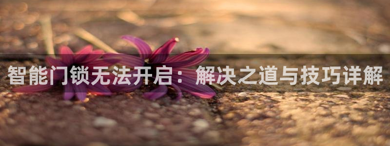富联2娱乐查判官333OO：智能门锁无法开启：解决之道与技巧