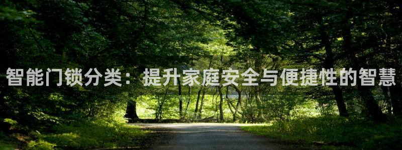 富联娱乐女团排名：智能门锁分类：提升家庭安全与便捷性的智慧