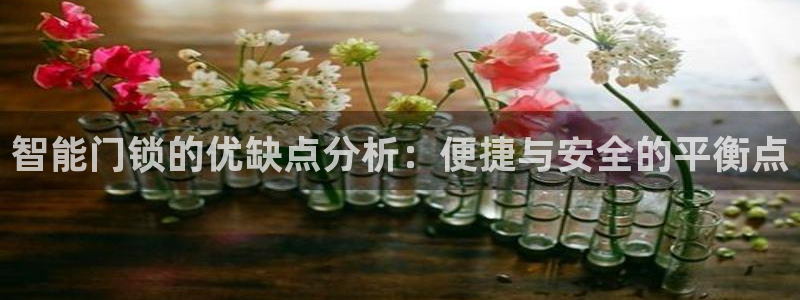 富联娱乐开户费用多少钱：智能门锁的优缺点分析：便捷与安全的平