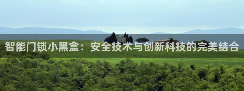 富联娱乐平台是什么公司：智能门锁小黑盒：安全技术与创新科技的