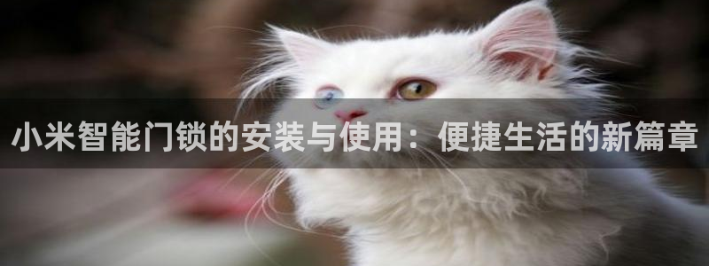 富联娱乐登录地址查询：小米智能门锁的安装与使用：便捷生活的新