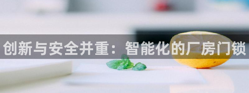 富联娱乐官网入口网址：创新与安全并重：智能化的厂房门锁