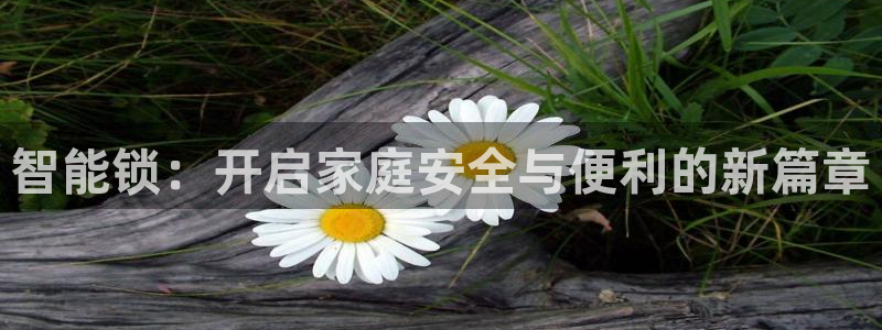 富联娱乐主管减判官333OO：智能锁：开启家庭安全与便利的新