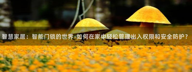 富联娱乐主管是什么职位：智慧家居：智能门锁的世界-如何在家中