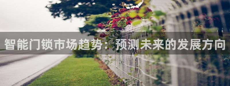 富联娱乐招商认判官333OO：智能门锁市场趋势：预测未来的发