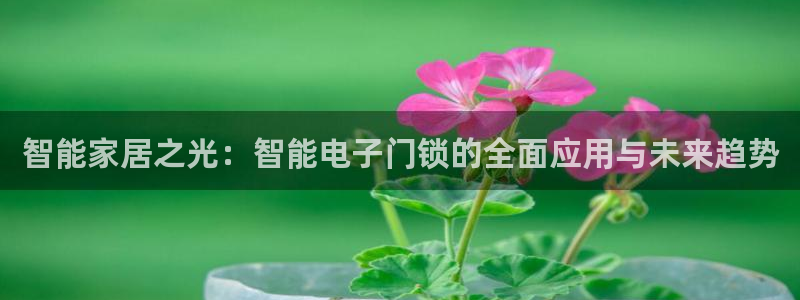 富联娱乐女团是谁的女儿：智能家居之光：智能电子门锁的全面应用