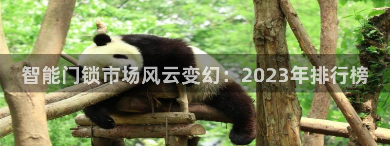 富联娱乐总裁简介图片大全：智能门锁市场风云变幻：2023年排