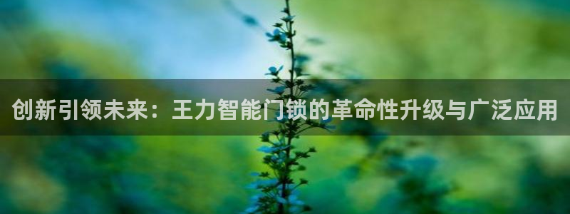 富联娱乐客户端下载安装：创新引领未来：王力智能门锁的革命性升