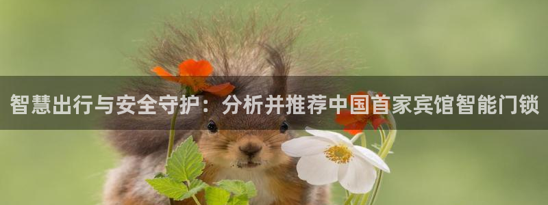 富联娱乐主管：智慧出行与安全守护：分析并推荐中国首家宾馆智能