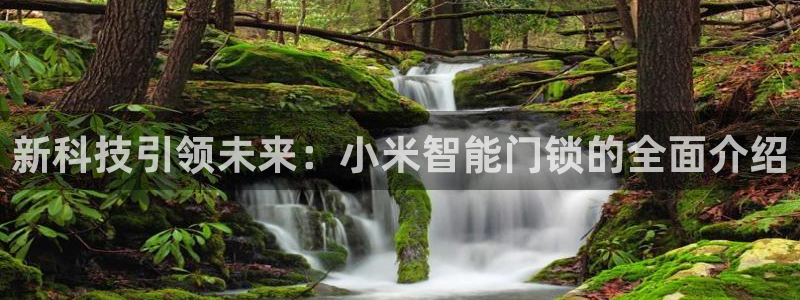 富联娱乐代理怎么做：新科技引领未来：小米智能门锁的全面介绍