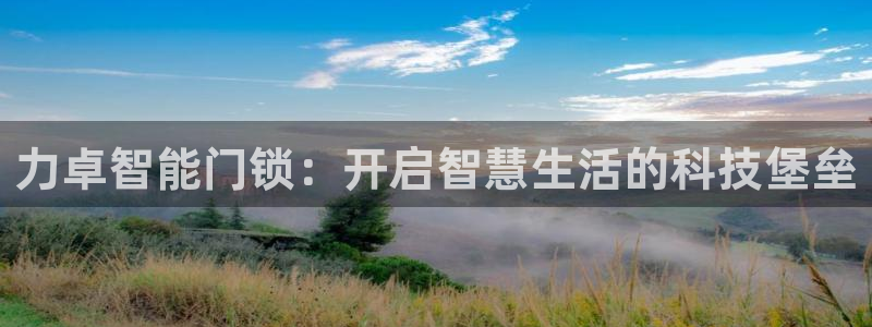富联2娱乐元哥是谁：力卓智能门锁：开启智慧生活的科技堡垒
