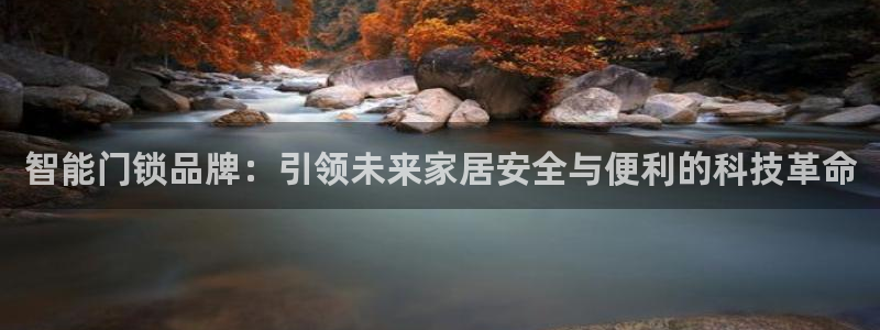 富联娱乐注册教判官333OO：智能门锁品牌：引领未来家居安全