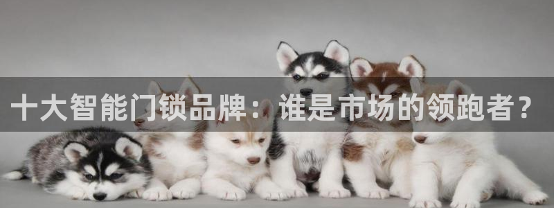 富联娱乐发展历程：十大智能门锁品牌：谁是市场的领跑者？