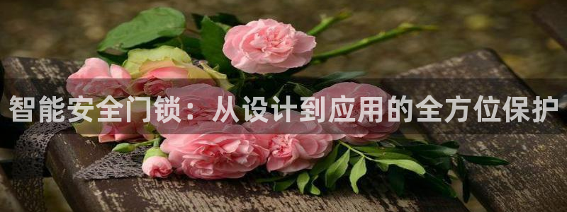 富联娱乐公司简介怎么写：智能安全门锁：从设计到应用的全方位保