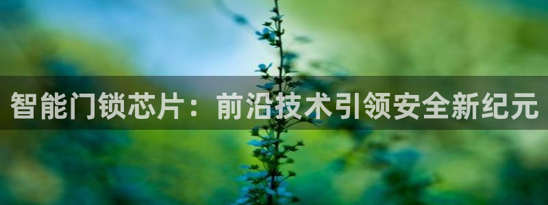 富联娱乐主管审判官333OO：智能门锁芯片：前沿技术引领安全