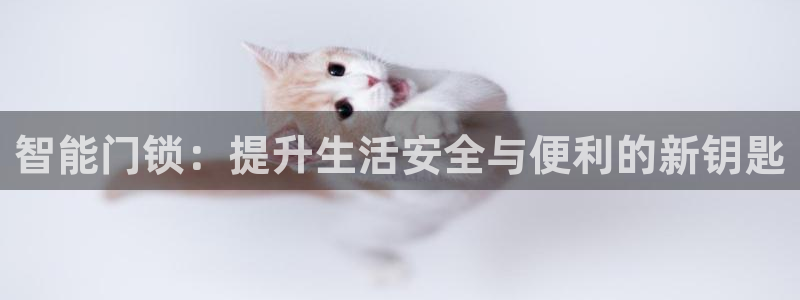 富联娱乐主管留判官333OO：智能门锁：提升生活安全与便利的