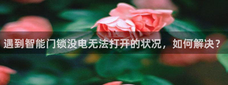 富联娱乐招商会判官333OO：遇到智能门锁没电无法打开的状况