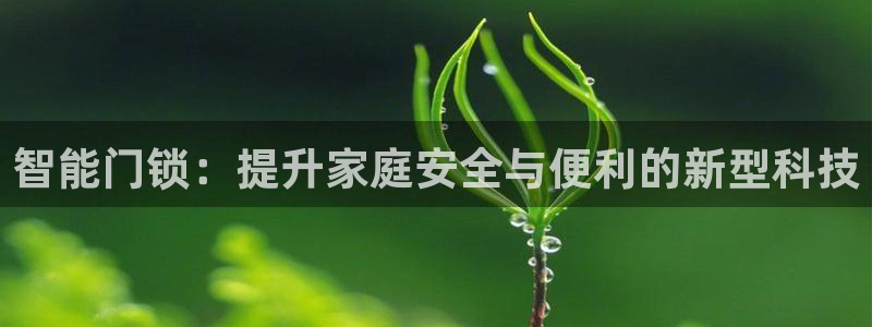 富联娱乐受究7276O：智能门锁：提升家庭安全与便利的新型科