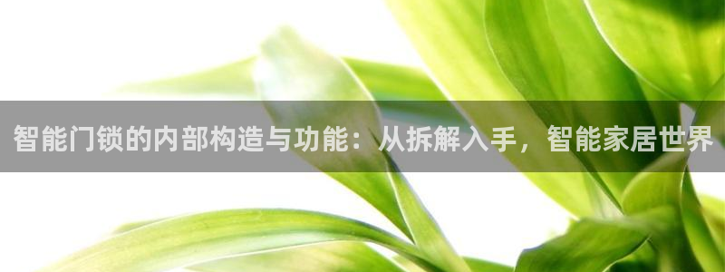 富联娱乐代理是谁做的：智能门锁的内部构造与功能：从拆解入手，