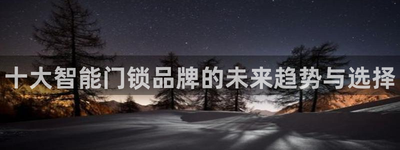 富联2娱乐是正规平台吗：十大智能门锁品牌的未来趋势与选择