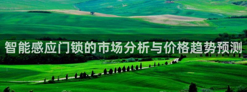 富联娱乐登录链接在哪打开：智能感应门锁的市场分析与价格趋势预