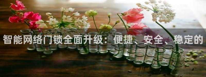 富联娱乐是正规平台吗吗：智能网络门锁全面升级：便捷、安全、稳