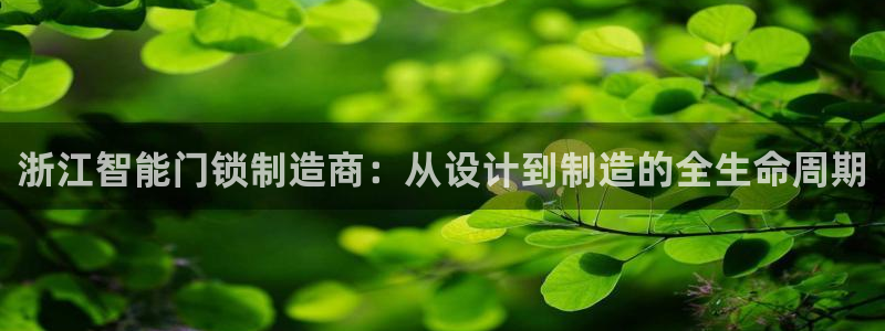 富联娱乐资讯官网下载：浙江智能门锁制造商：从设计到制造的全生