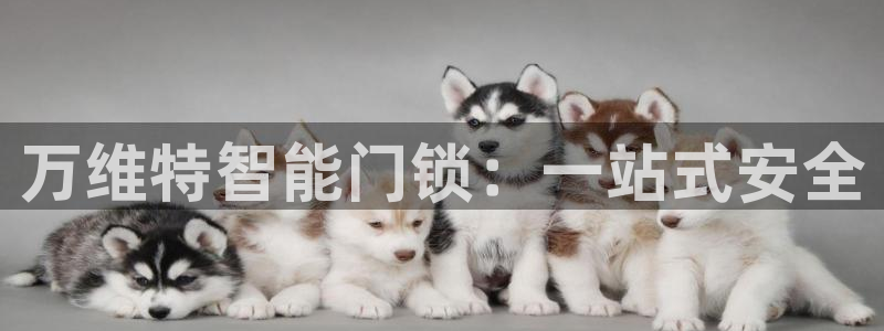 富联娱乐公司简介：万维特智能门锁：一站式安全