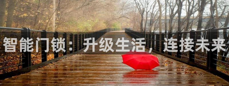 富联娱乐招商烈判官333OO：智能门锁：升级生活，连接未来