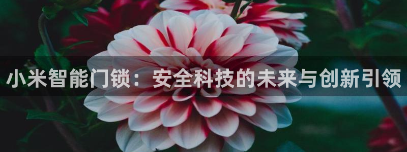 富联娱乐巾六七五一38：小米智能门锁：安全科技的未来与创新引