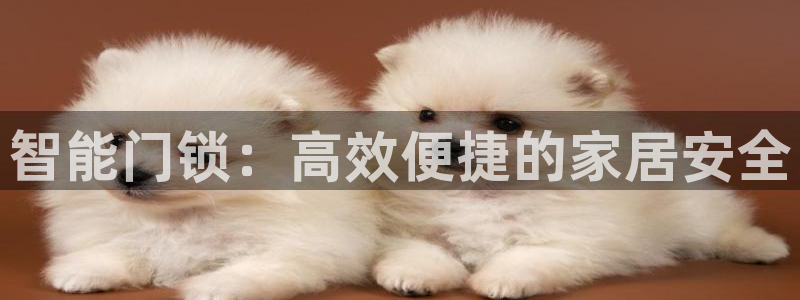 富联娱乐代理是谁开的店：智能门锁：高效便捷的家居安全